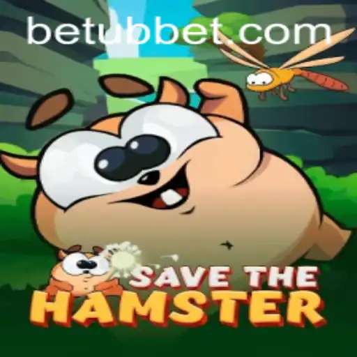 The Adventure of SavetheHamster: Exploring the World of Ubbet
